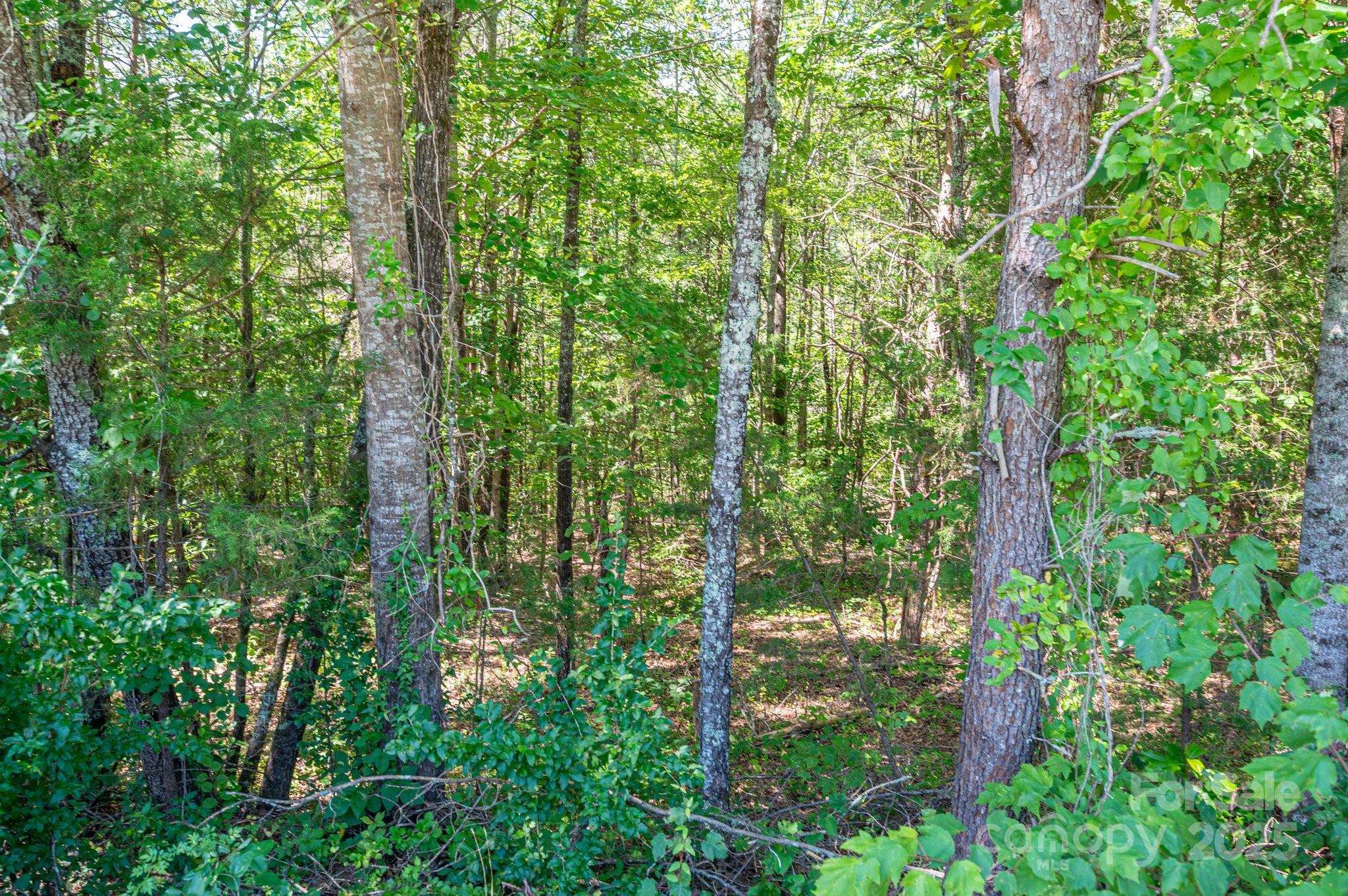 Lot 7 Meadow Crossing Drive