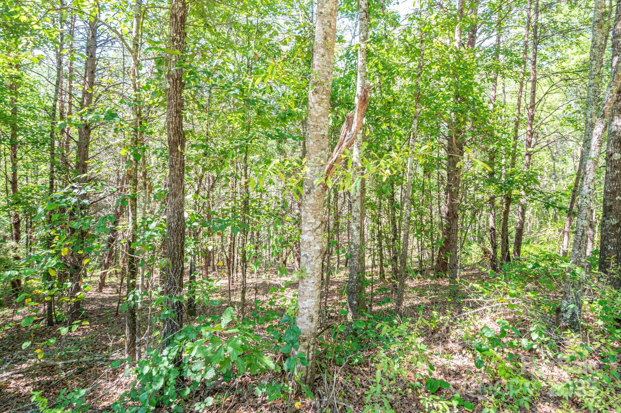 Lot # 15 Meadow Crossing Drive