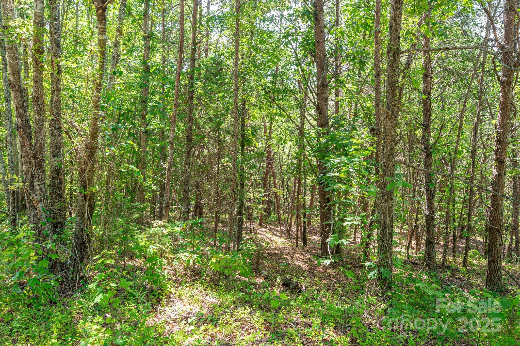 Lot # 15 Meadow Crossing Drive