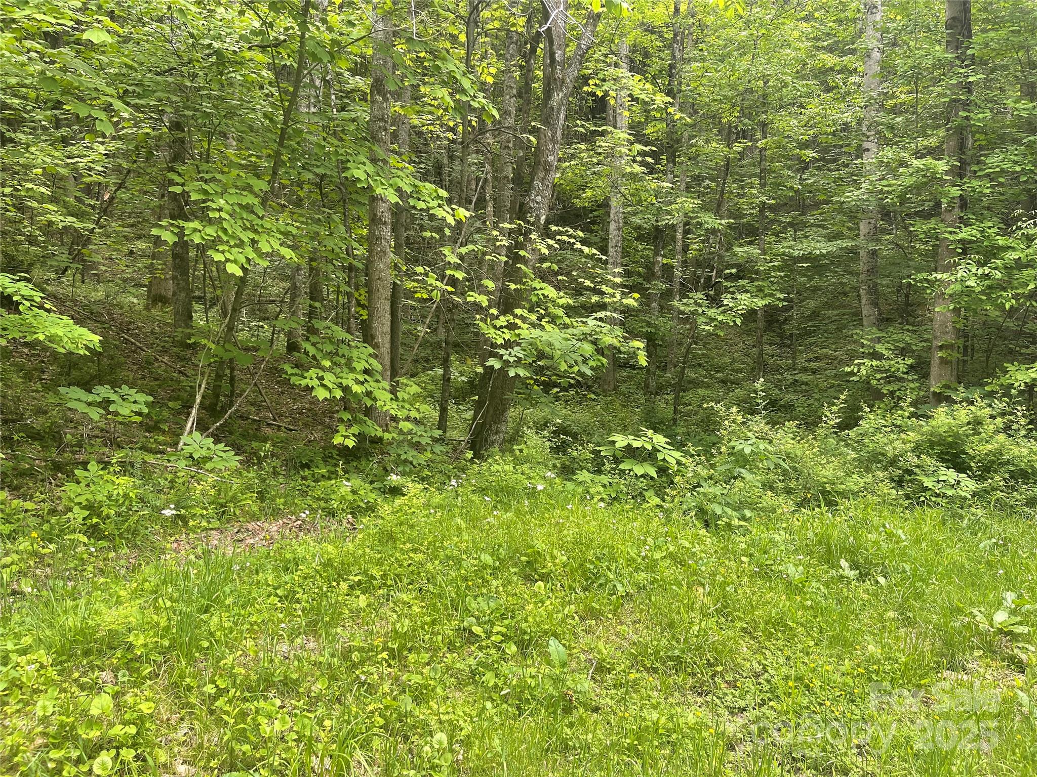 34 Buckeye Creek Road