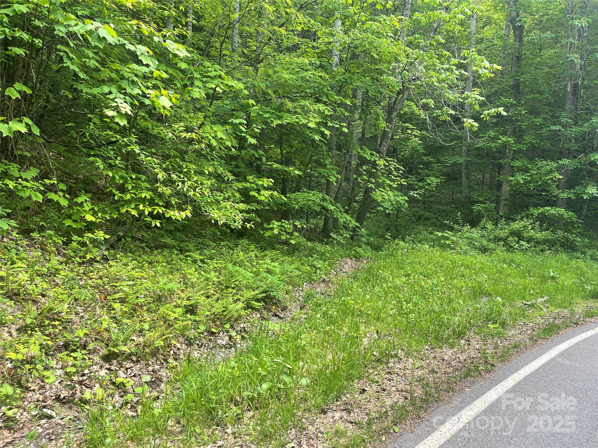 34 Buckeye Creek Road