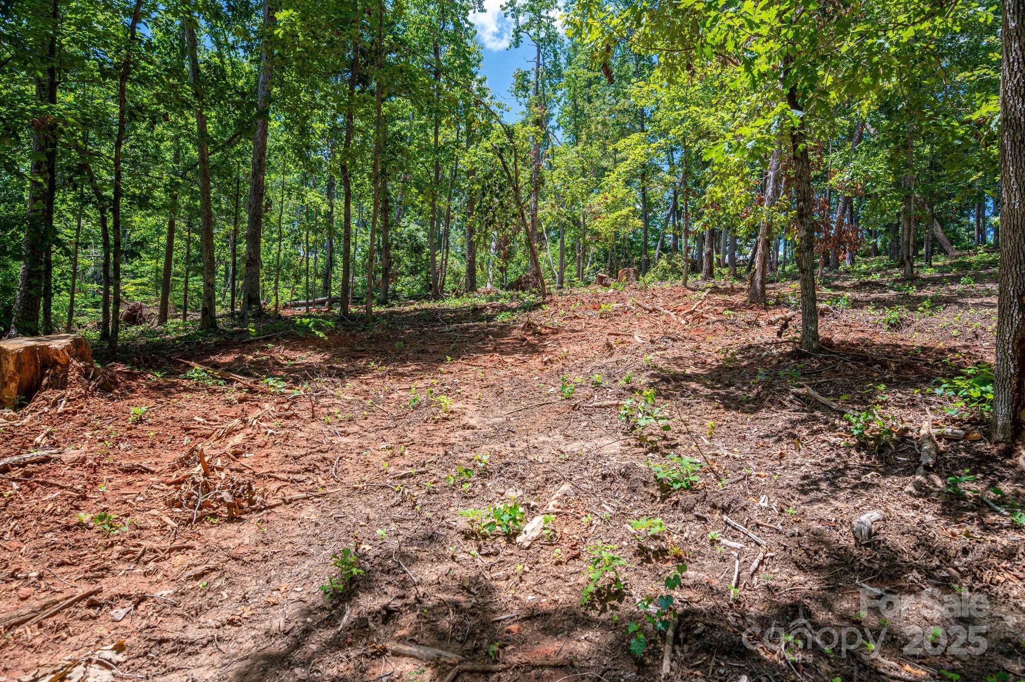 Lot 191 Plantation Drive