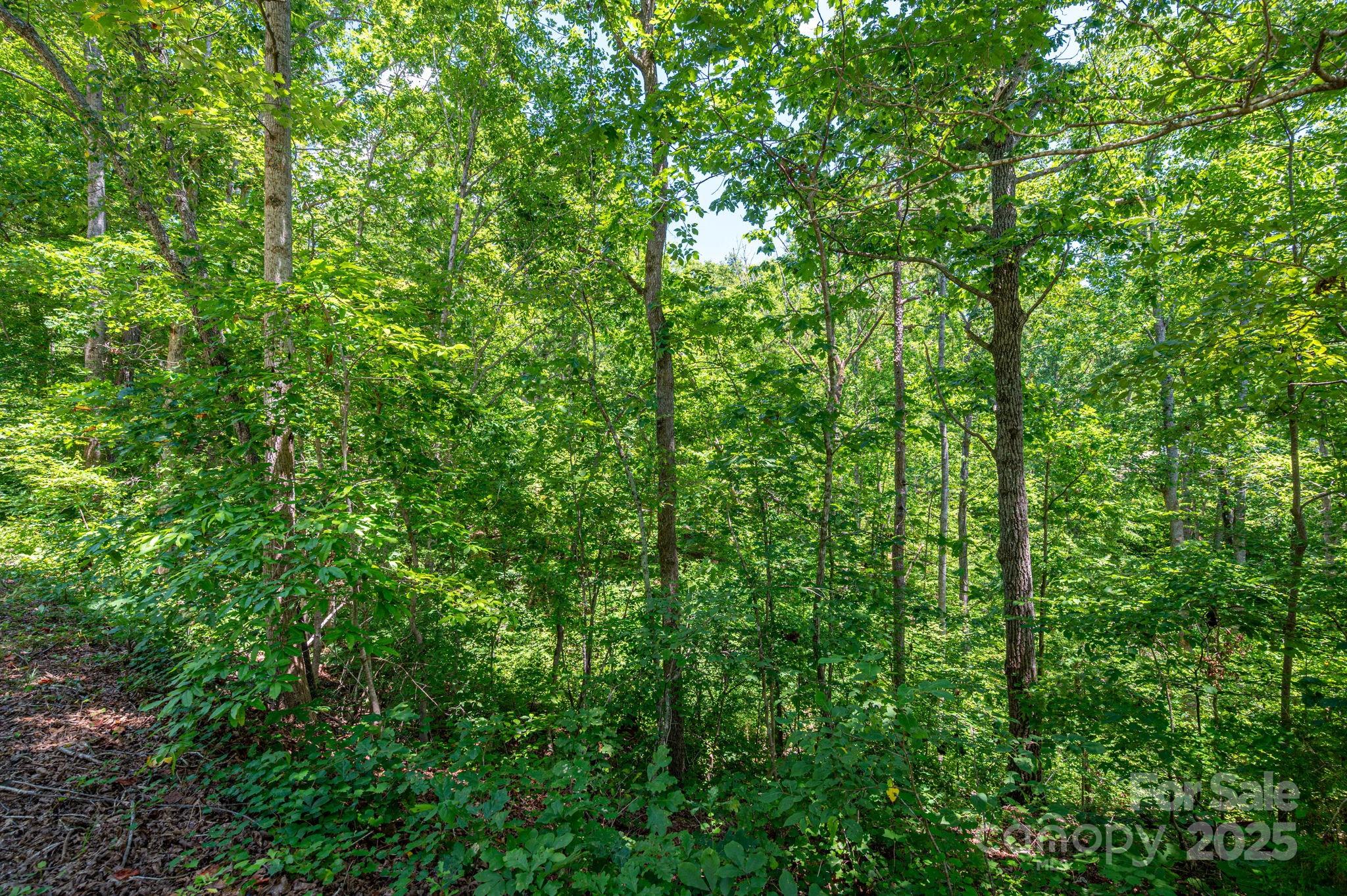 Lot 131 Plantation Drive