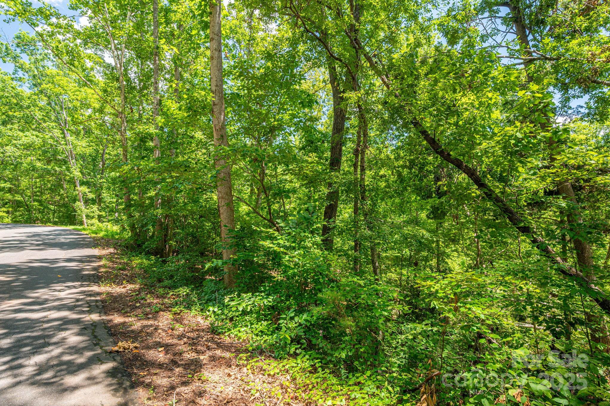 Lot 132 Plantation Drive