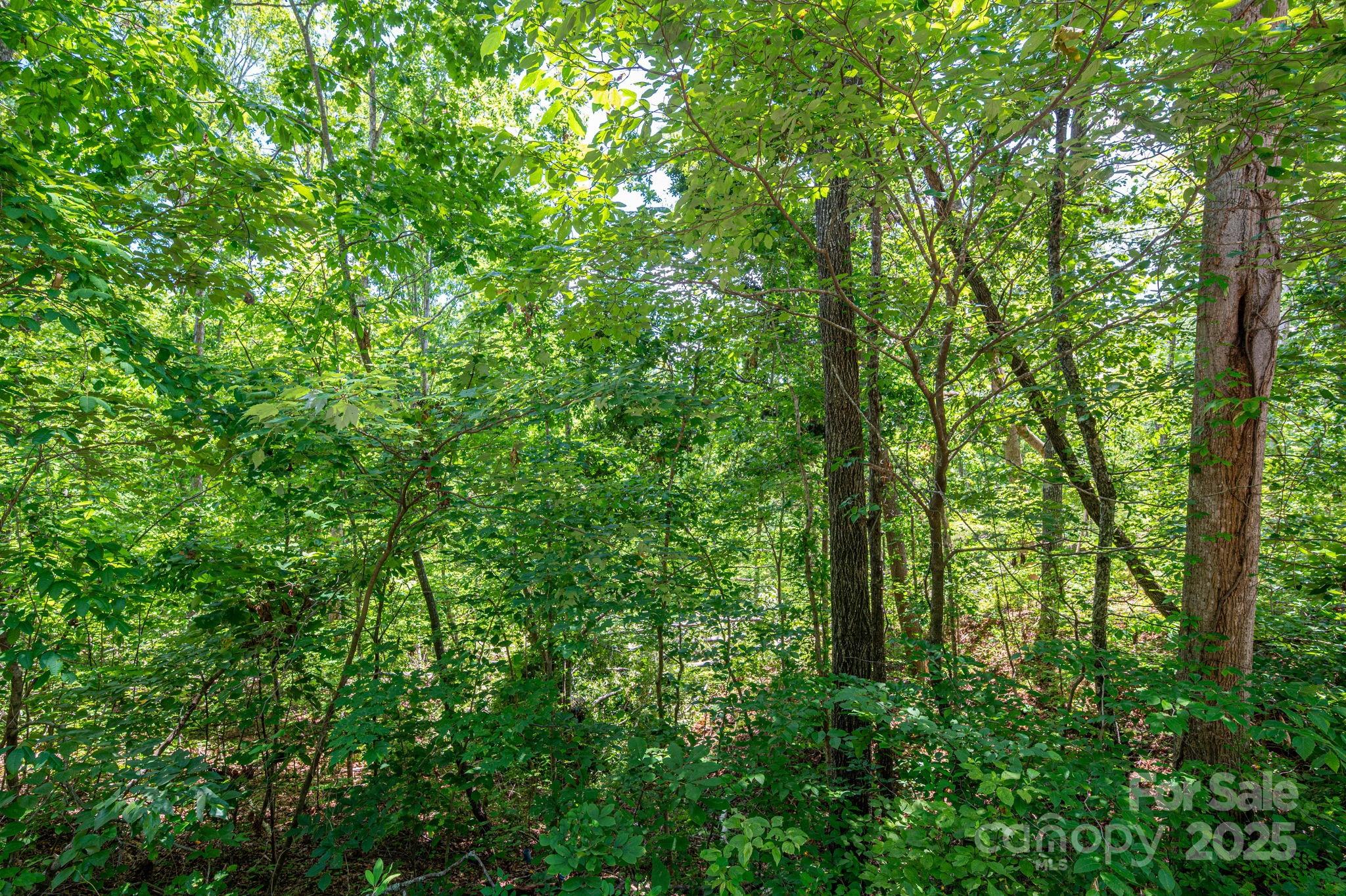 Lot 132 Plantation Drive