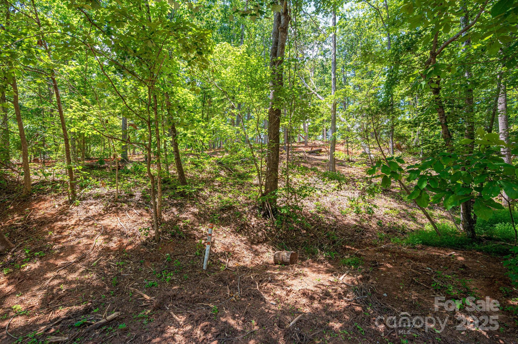 Lot 193 Plantation Drive