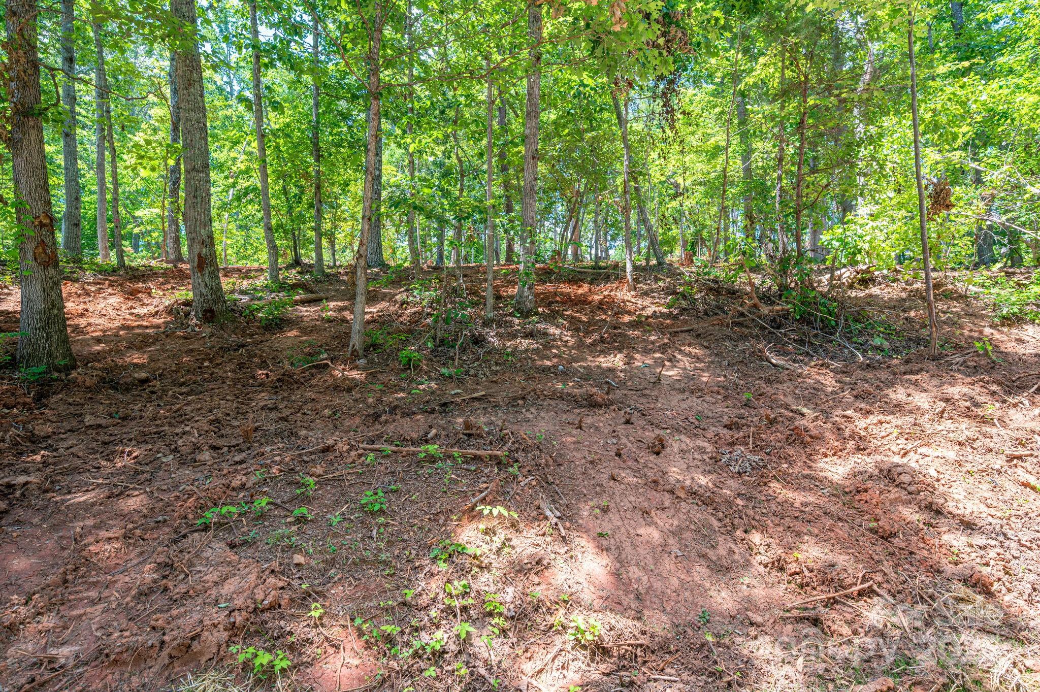 Lot 193 Plantation Drive