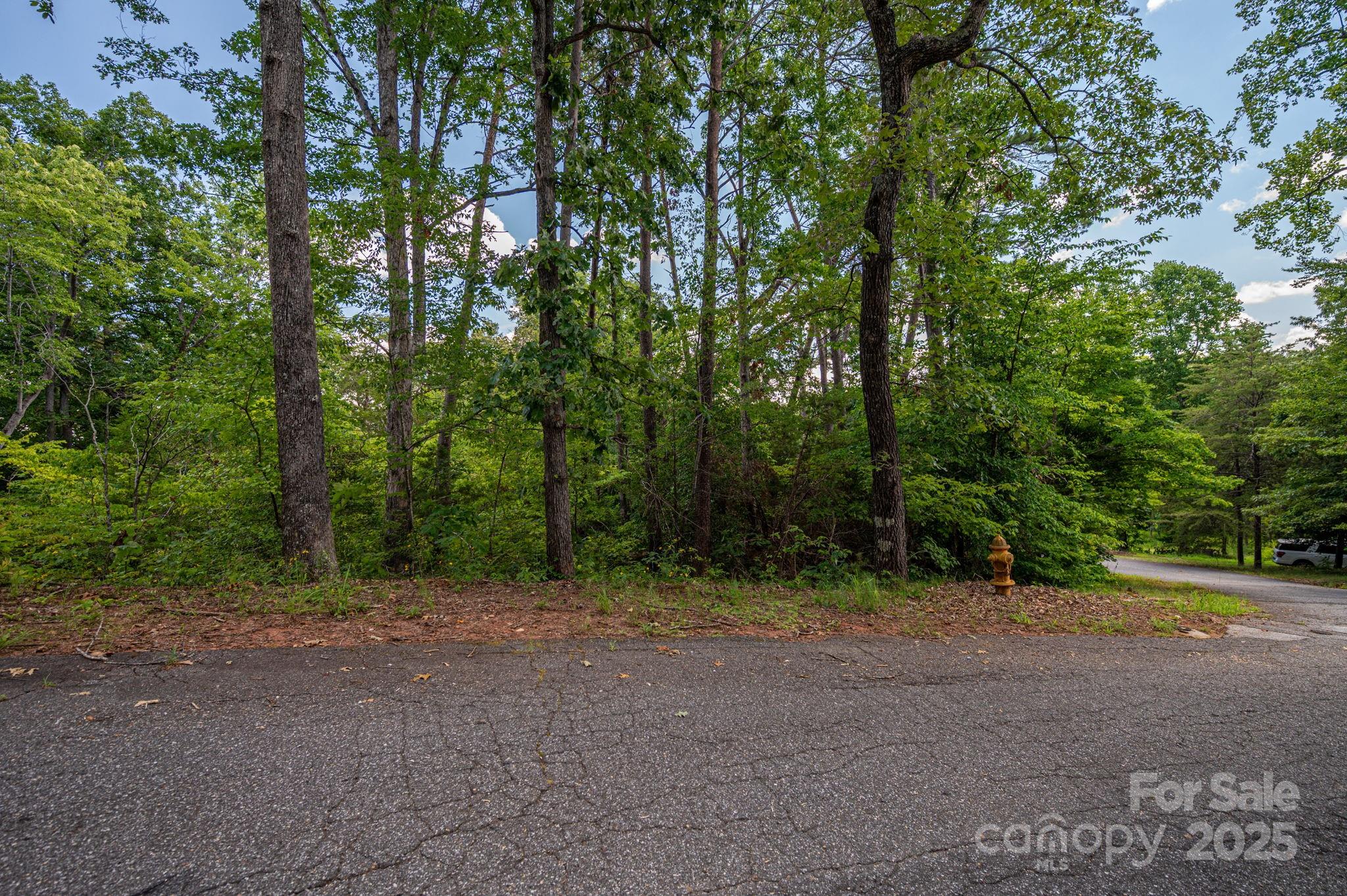 Lot 207 Plantation Drive