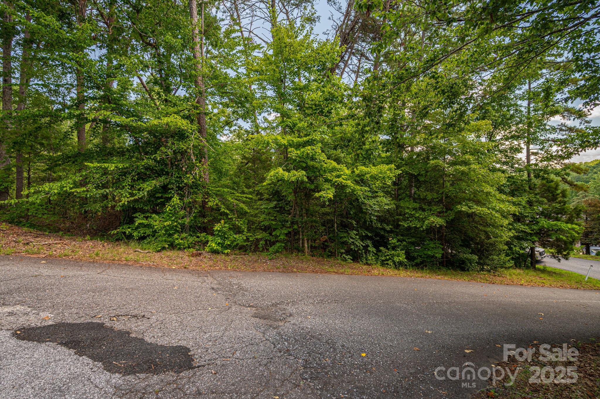 Lot 207 Plantation Drive