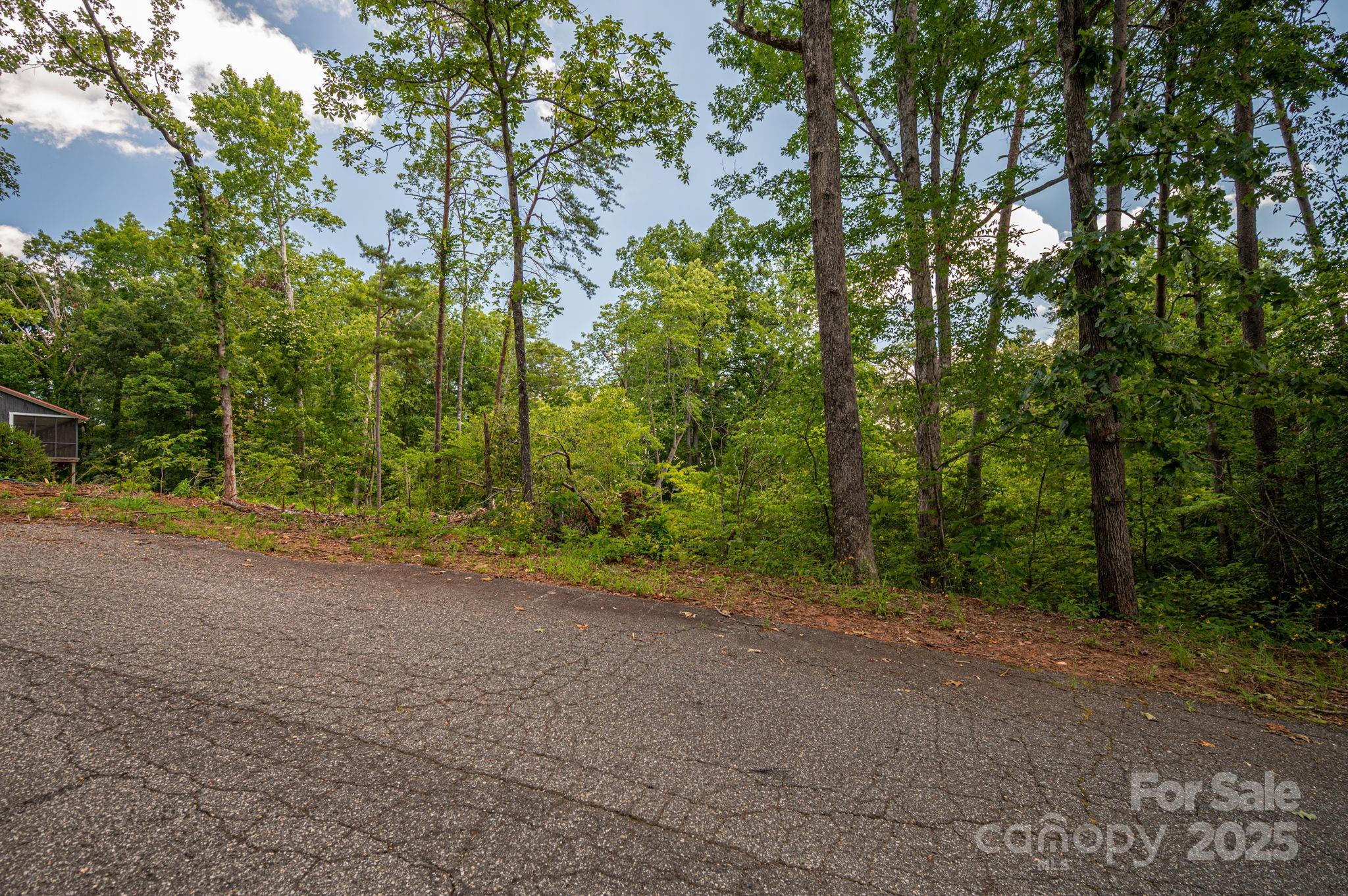 Lot 207 Plantation Drive