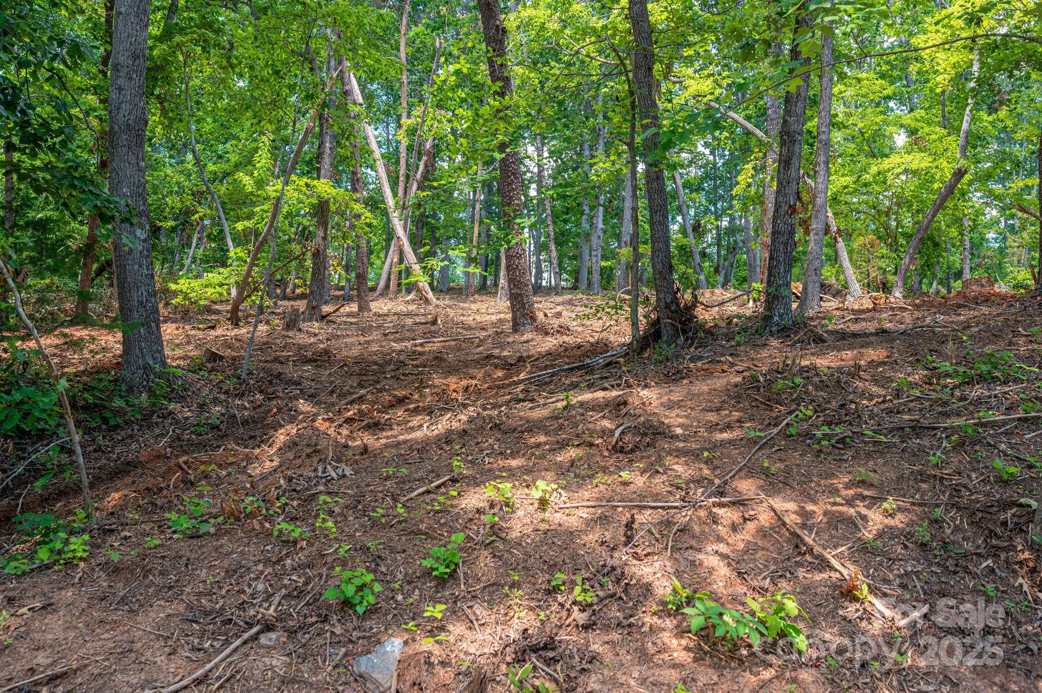 Lot 209 Plantation Drive
