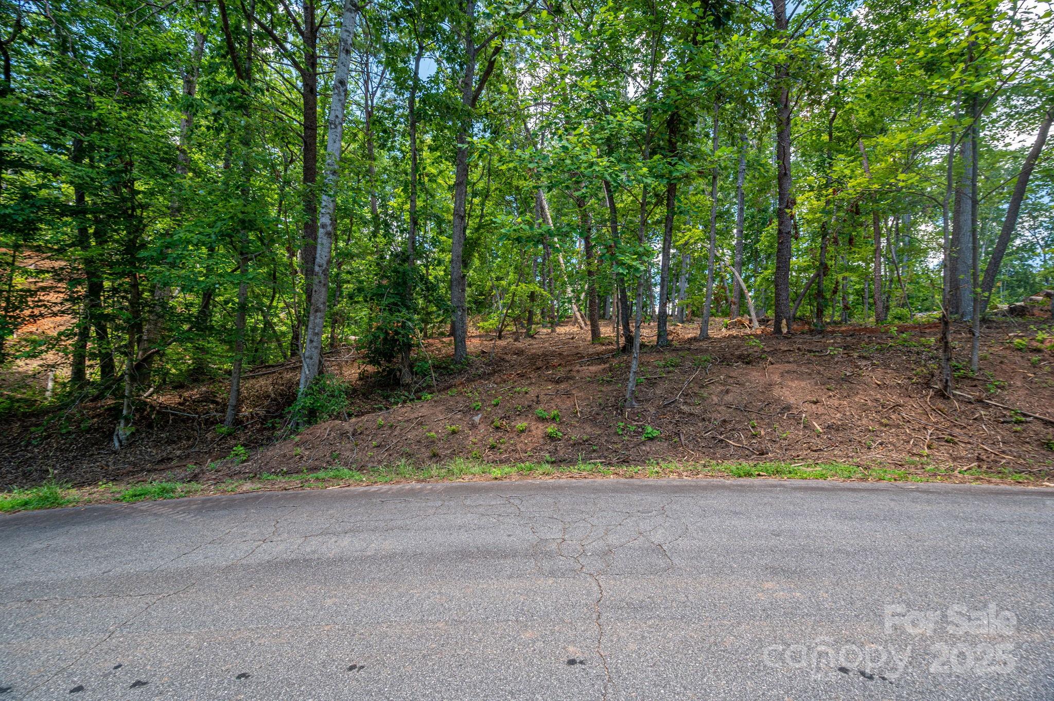 Lot 209 Plantation Drive