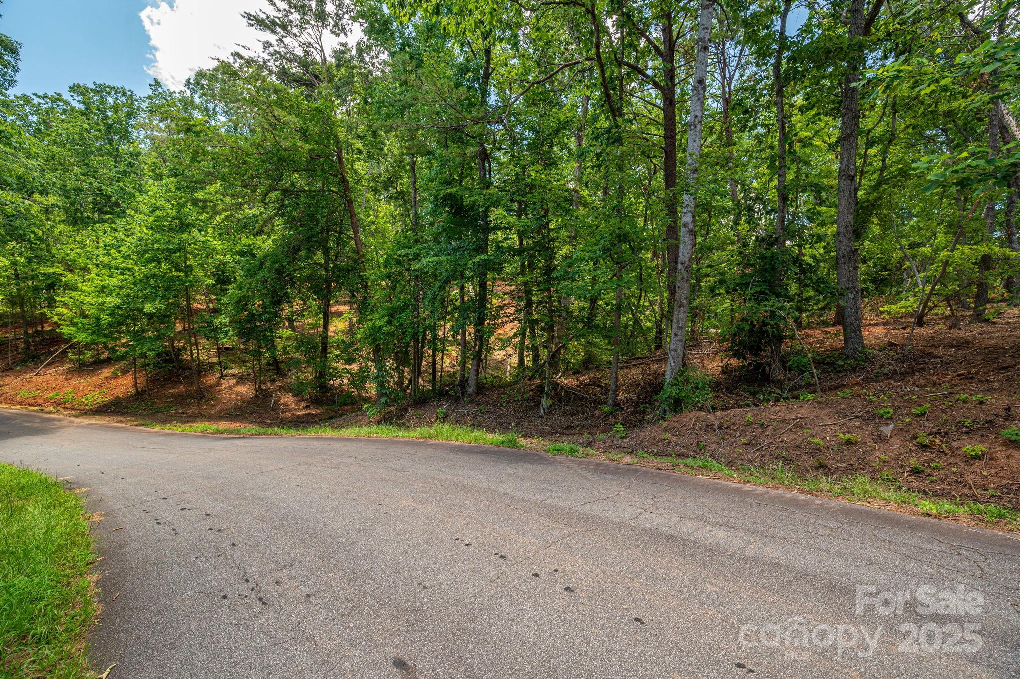 Lot 209 Plantation Drive