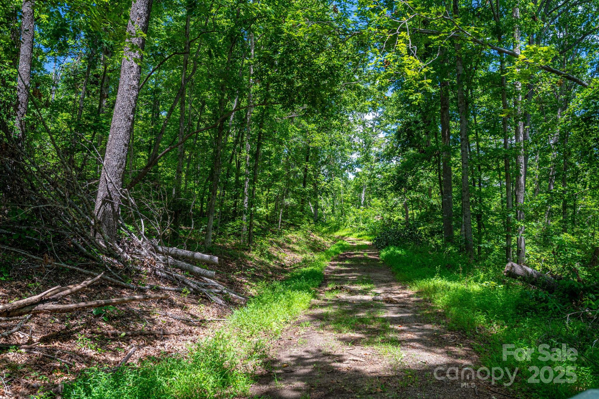 Lot 210 Plantation Drive