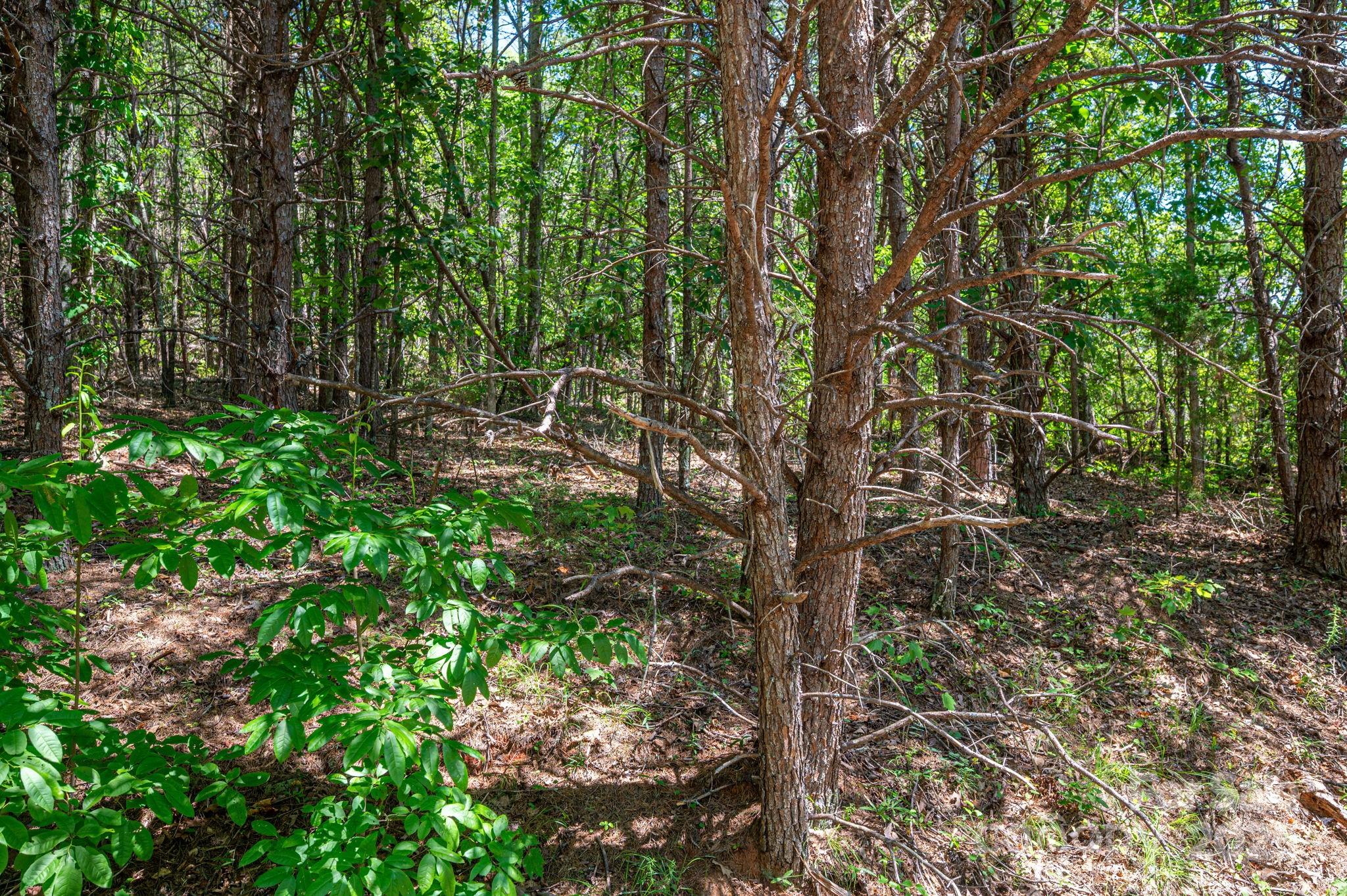 Lot 12 Meadow Crossing Drive