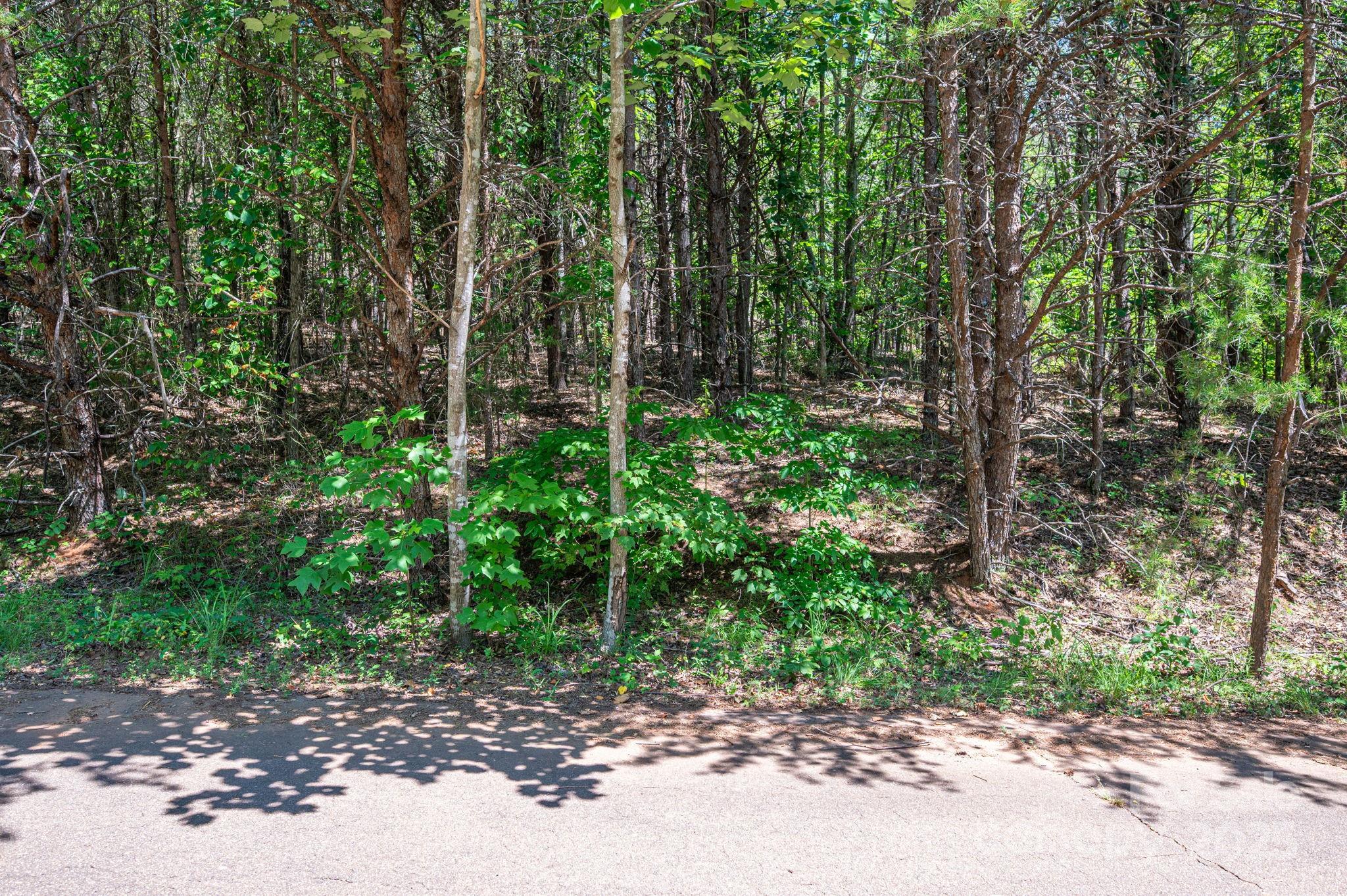 Lot 12 Meadow Crossing Drive