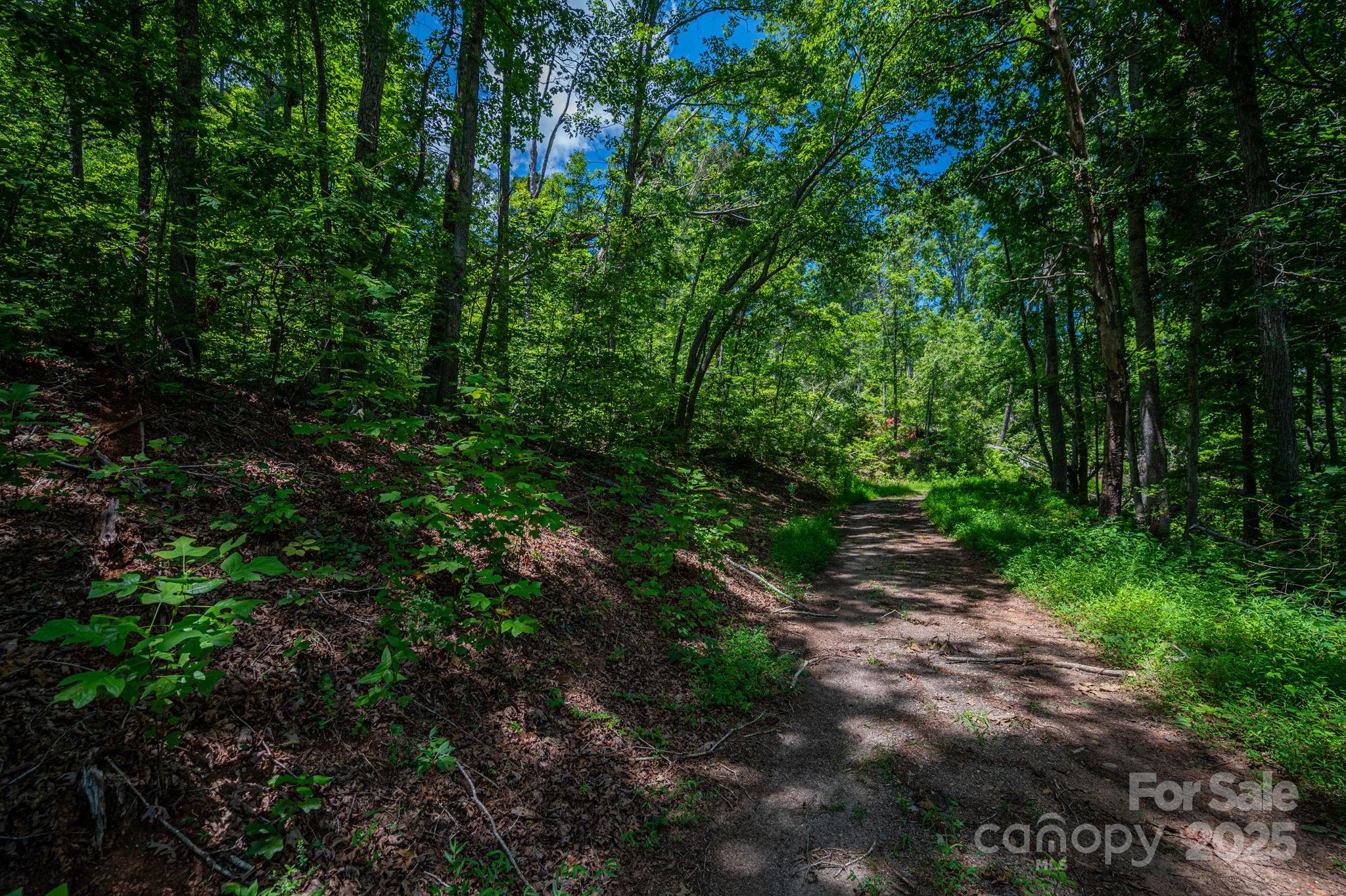 Lot 221 Plantation Drive