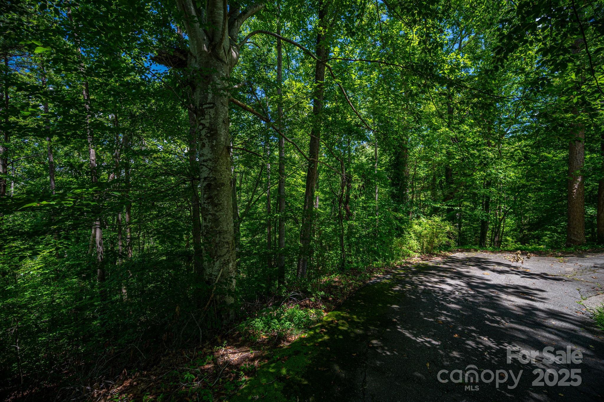 Lot 167 Plantation Drive