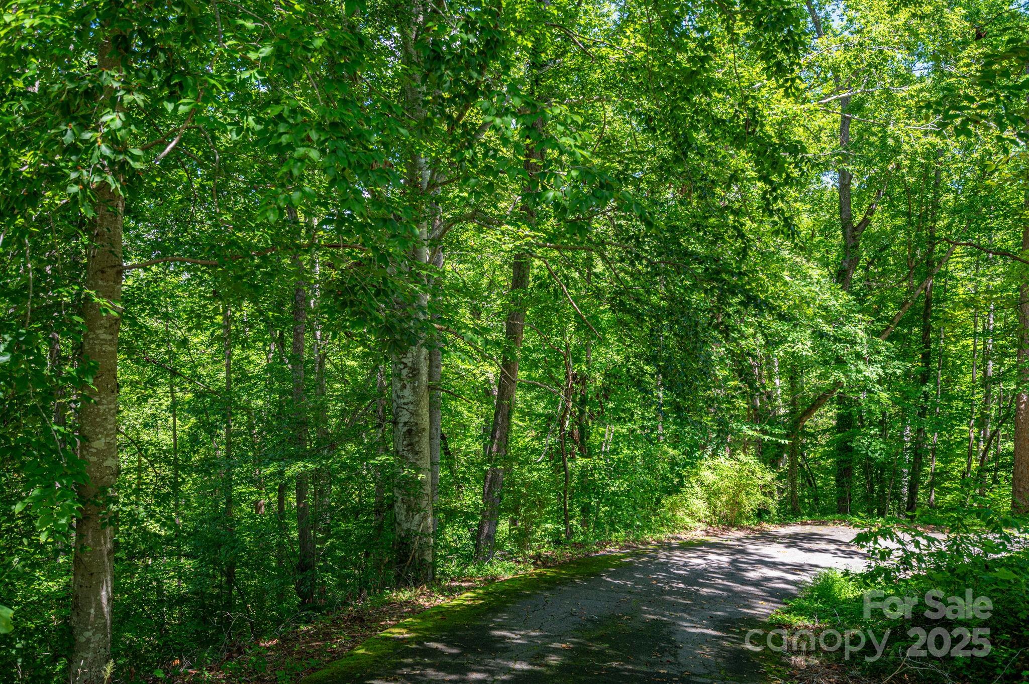 Lot 167 Plantation Drive