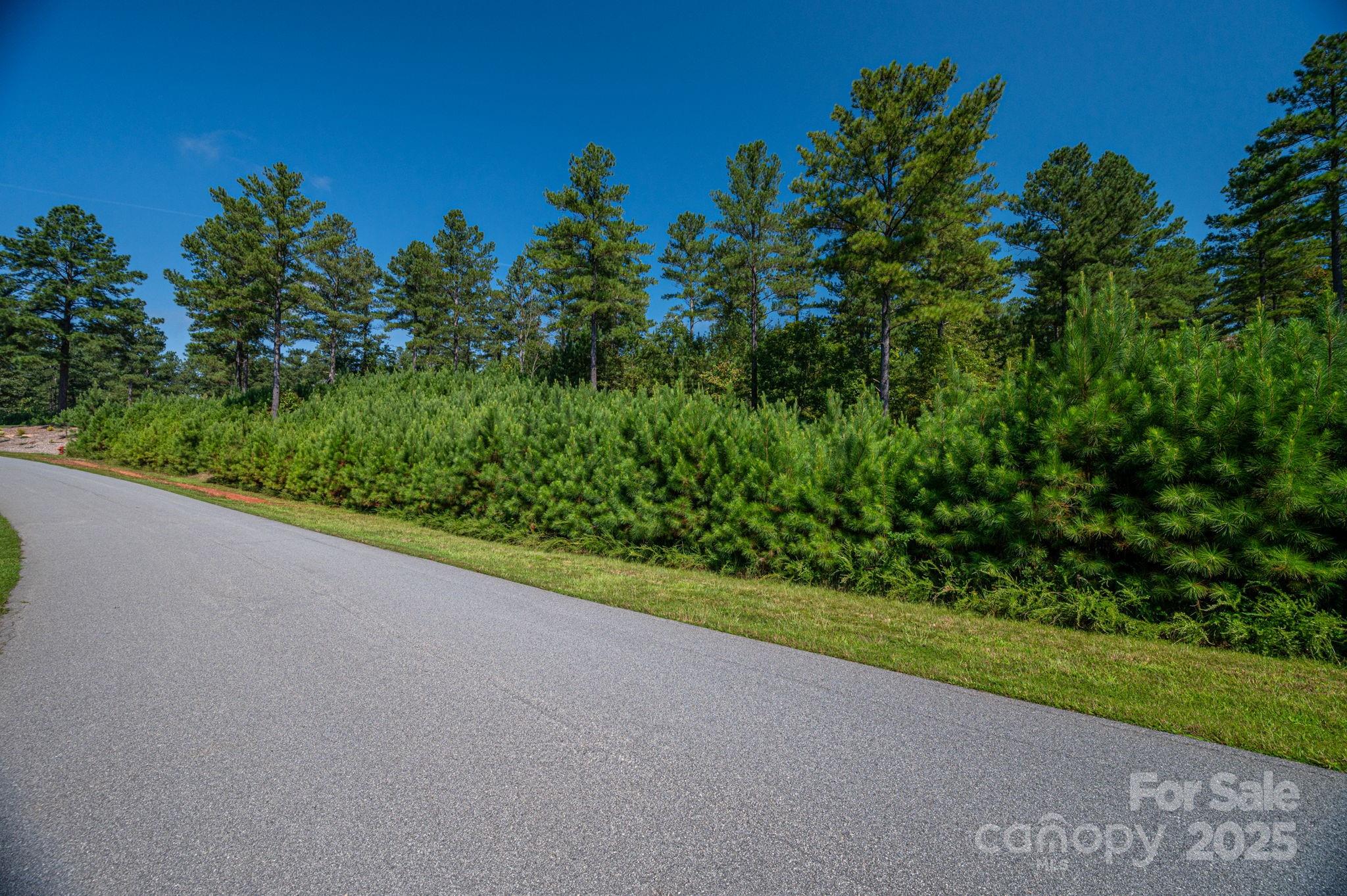 000 Coveside Drive Unit: 144