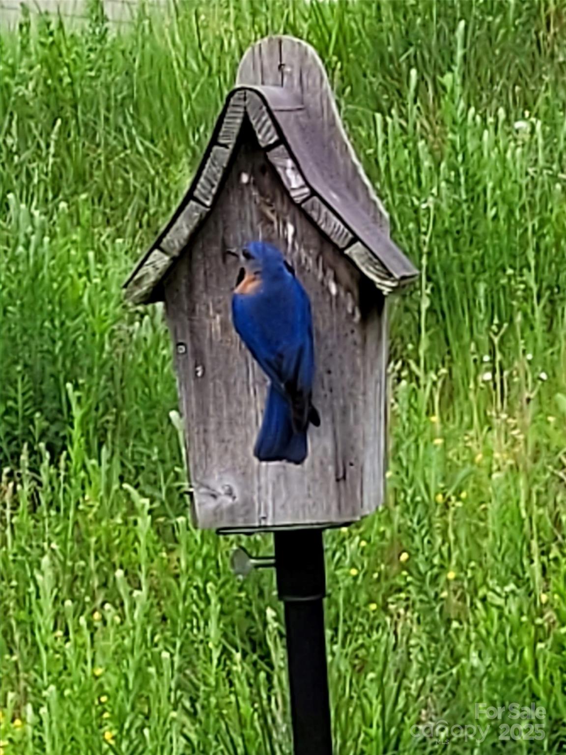 1243 Greenland Drive