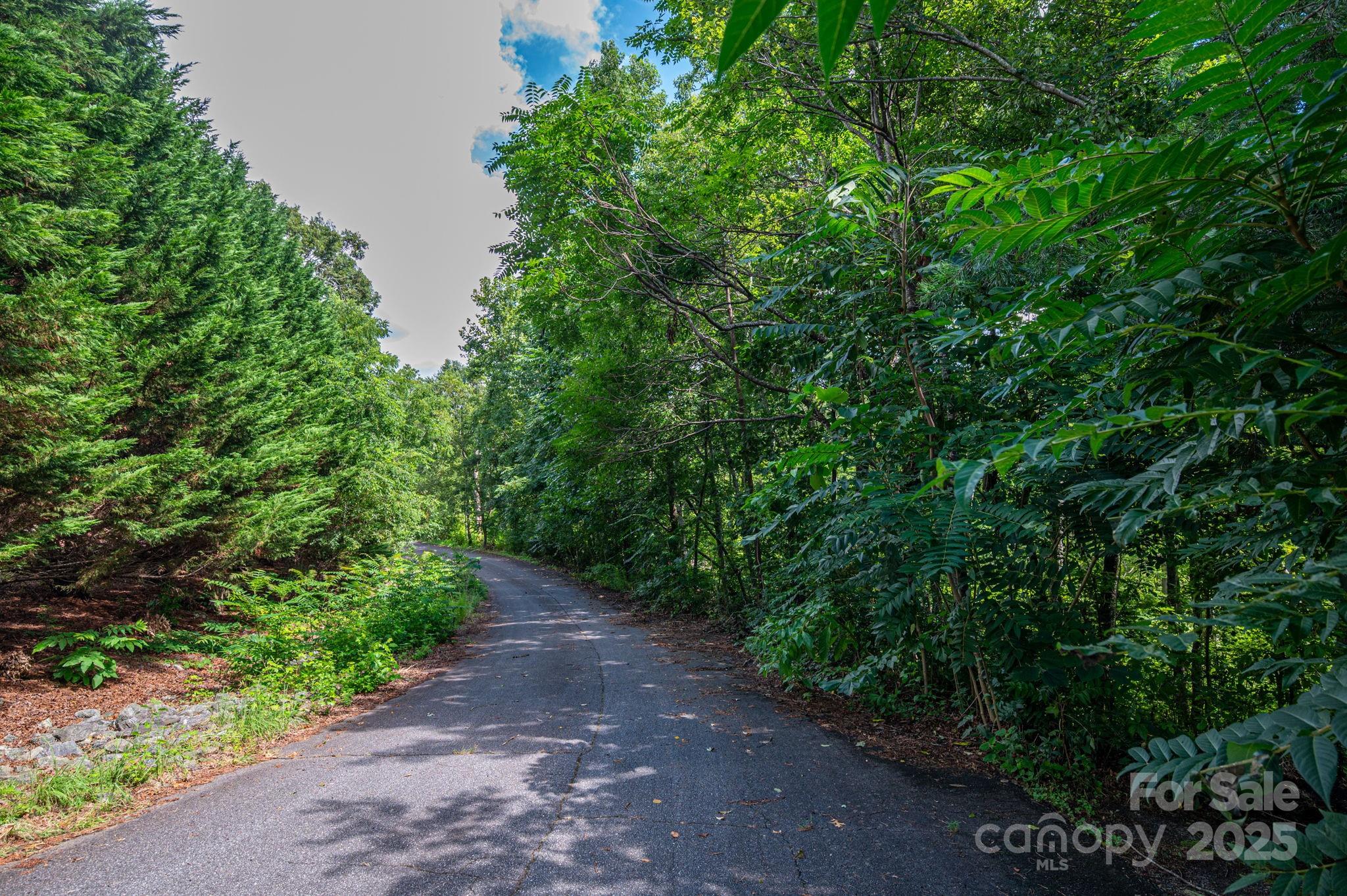 Lot 34 Line Drive