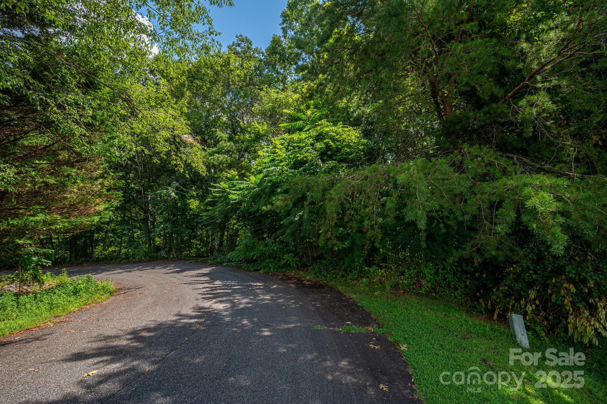 Lot 34 Line Drive