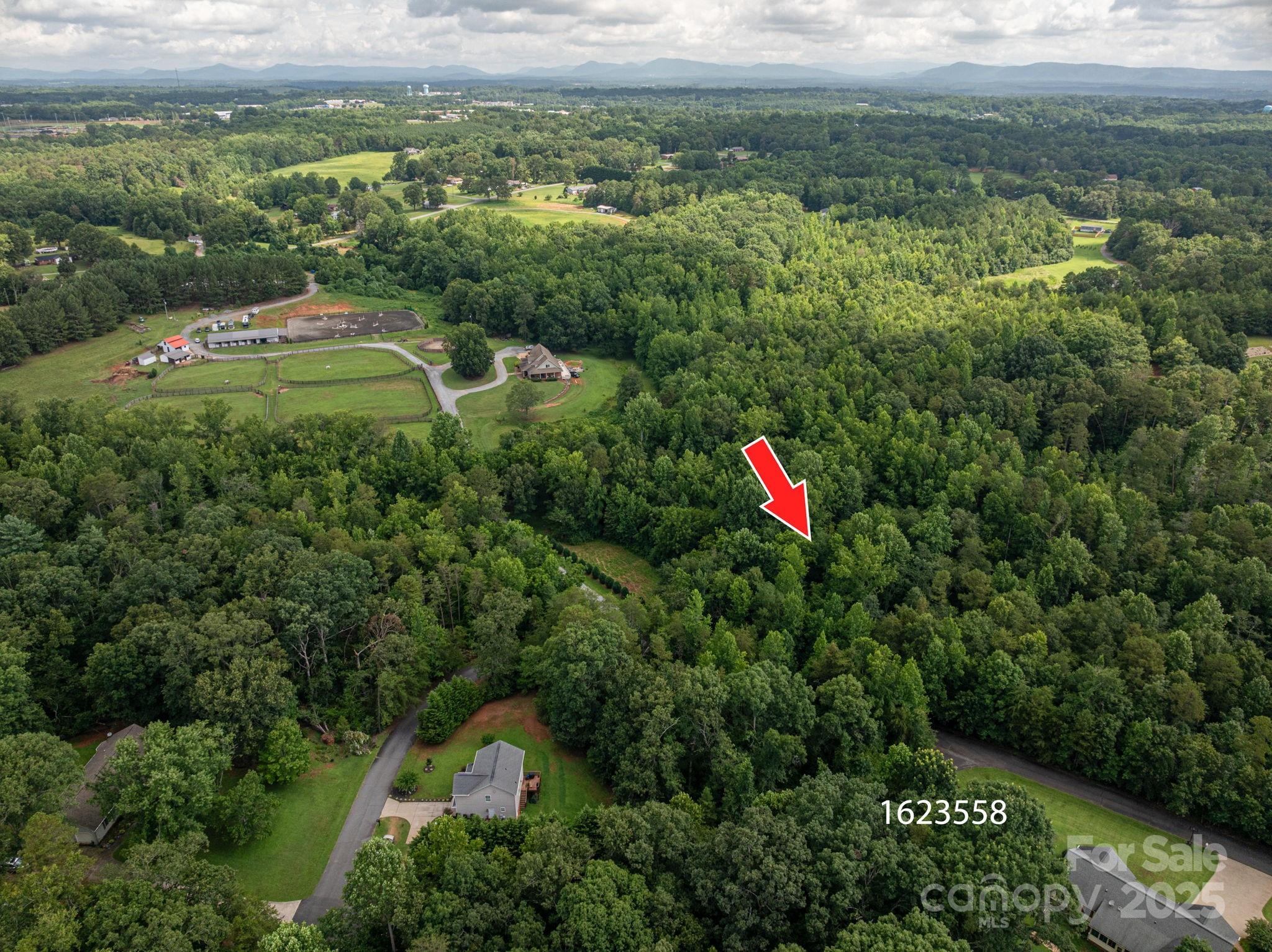 Lot 31 Line Drive