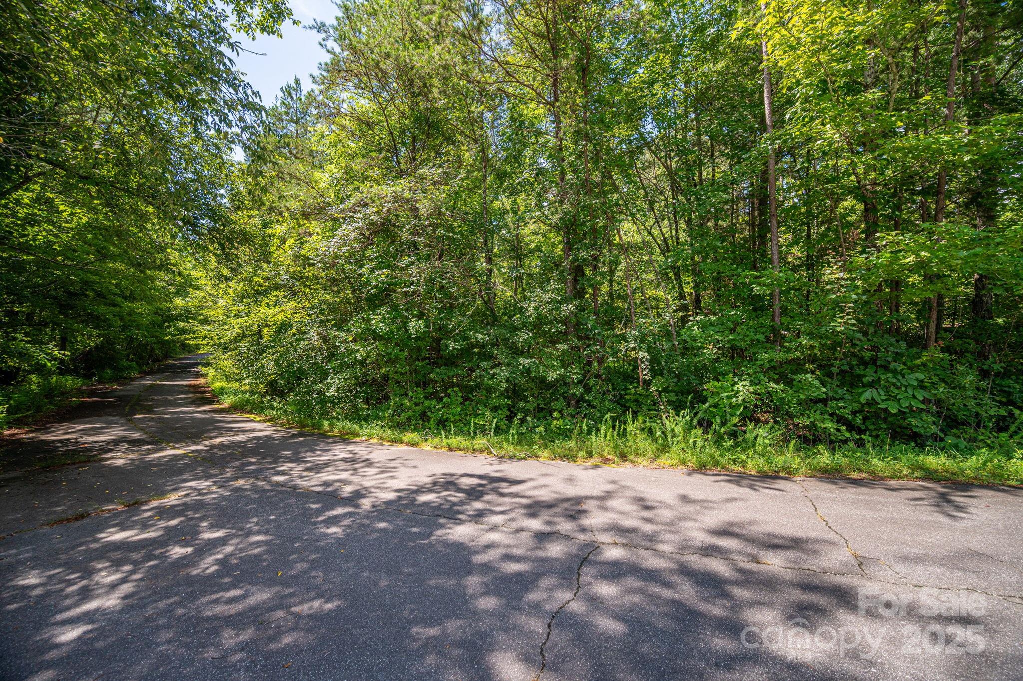 Lot 40 Line Drive