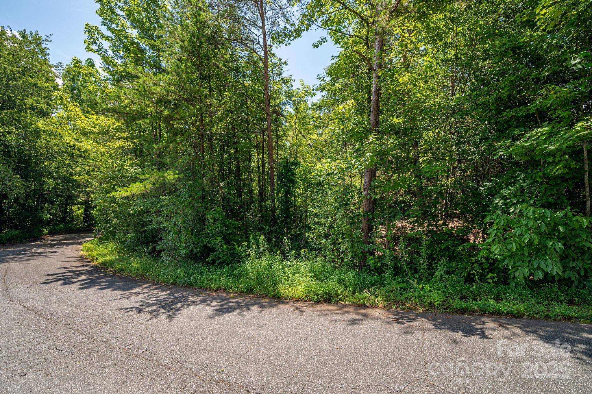 Lot 40 Line Drive