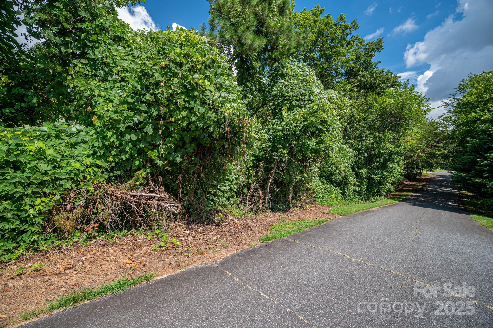Lot 25 Line Drive