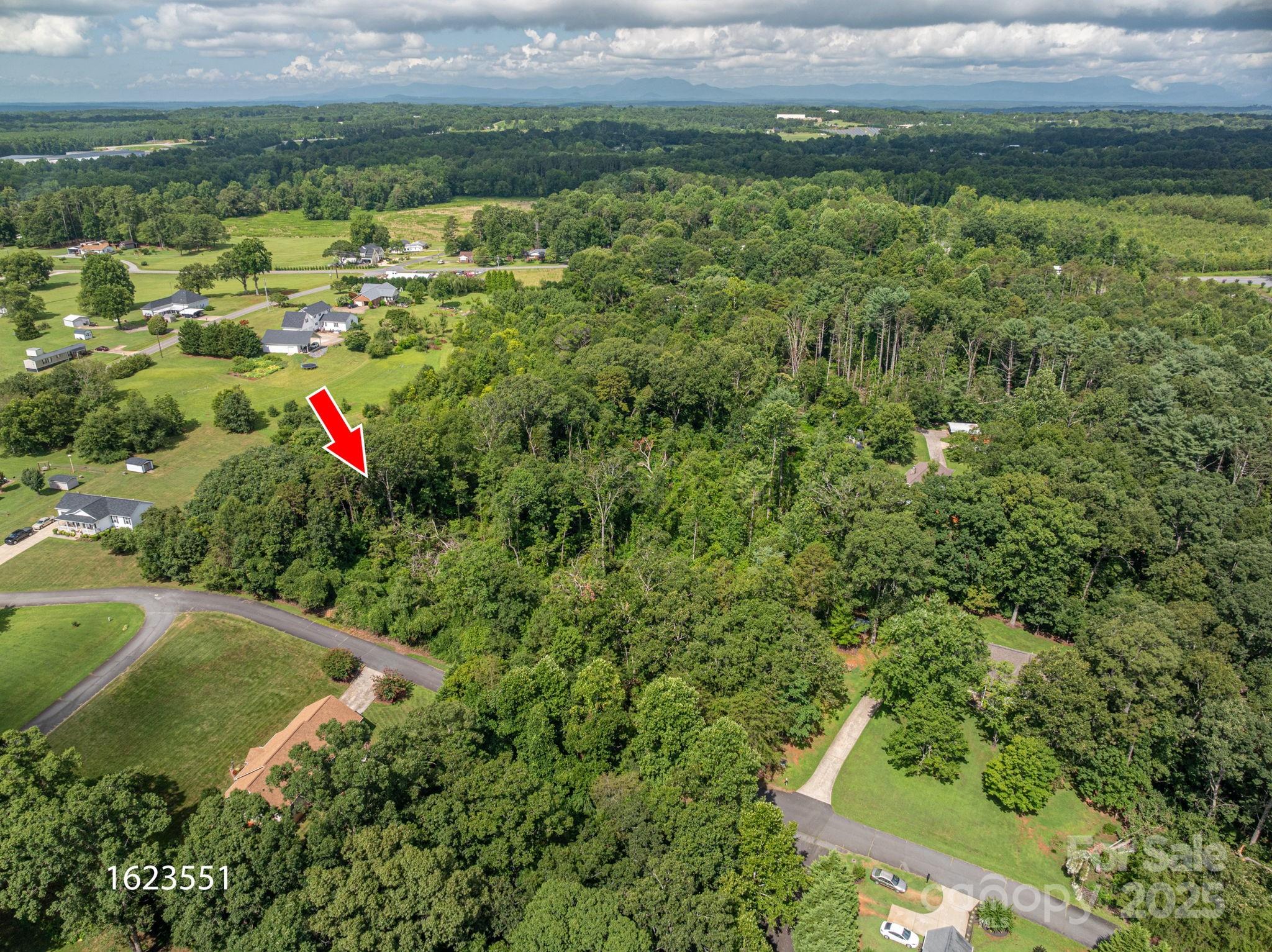 Lot 25 Line Drive