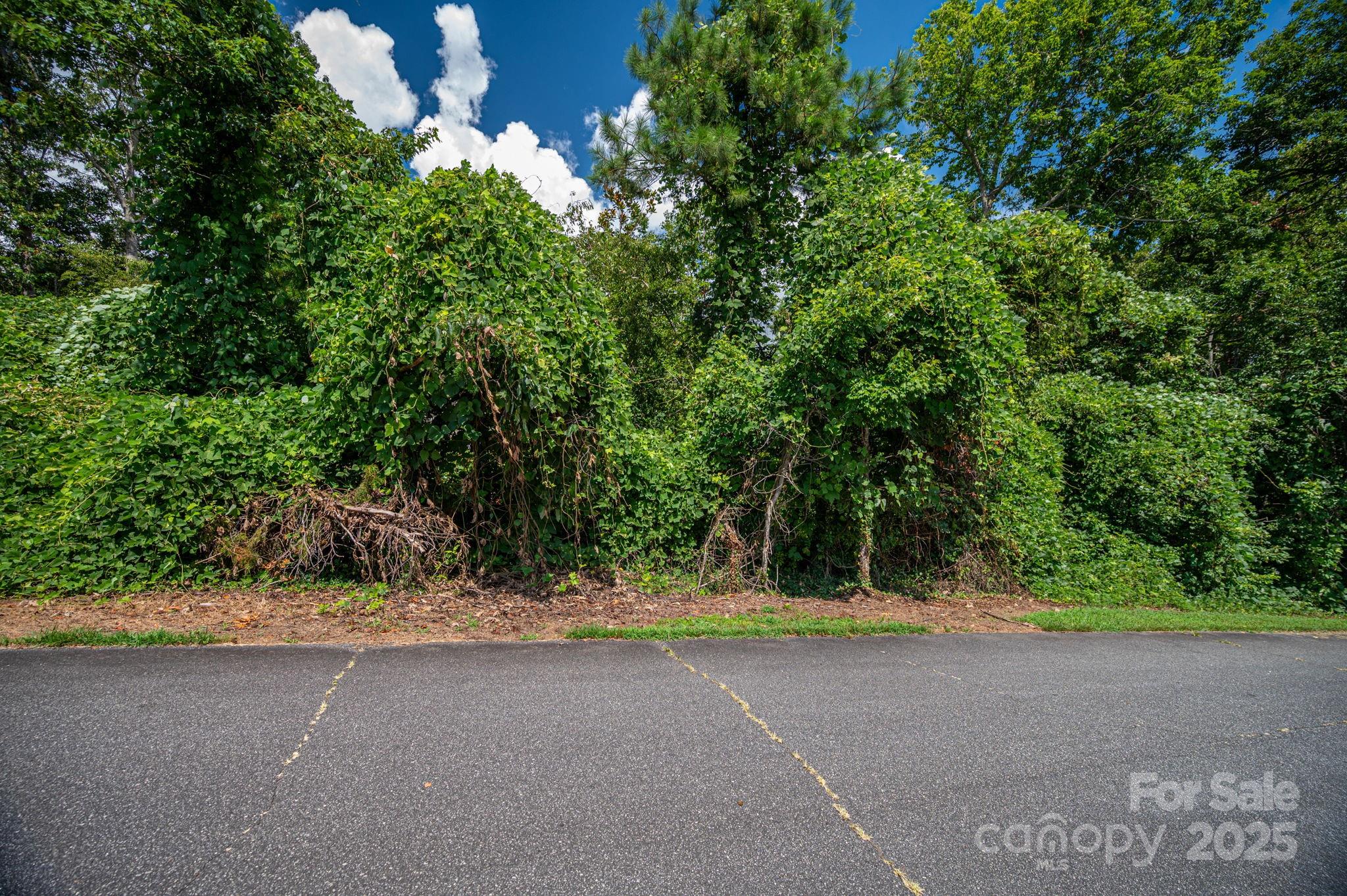 Lot 25 Line Drive