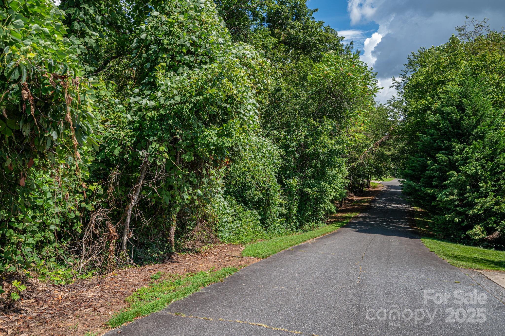Lot 25 Line Drive