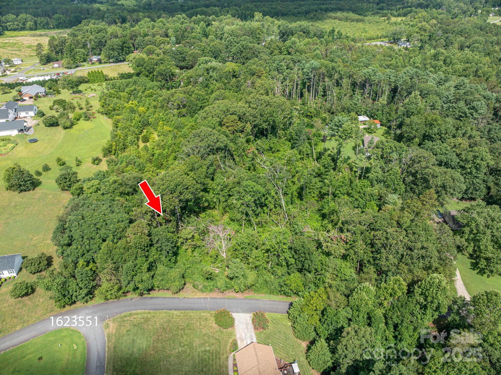 Lot 25 Line Drive