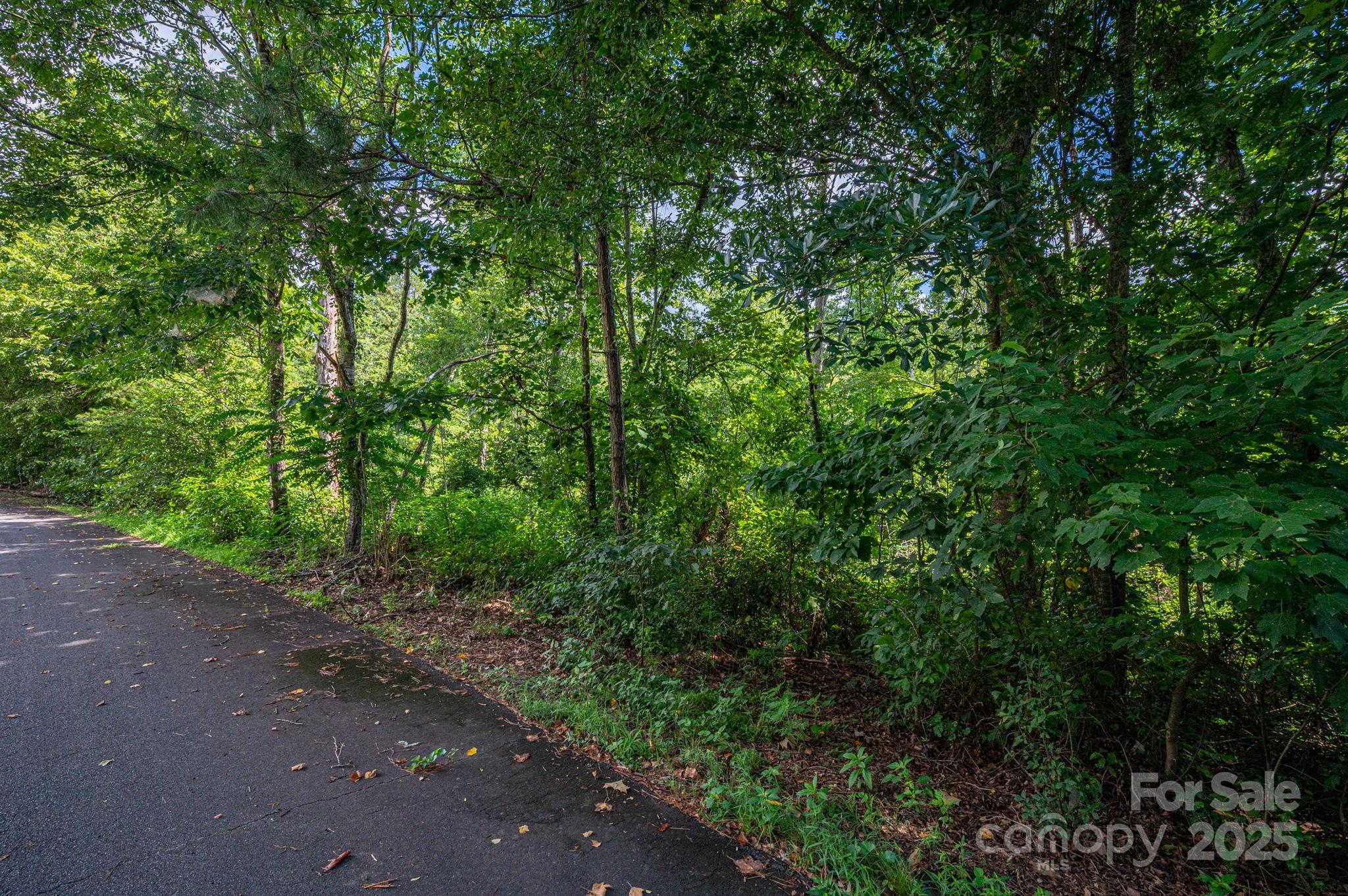 Lot 33 Line Drive