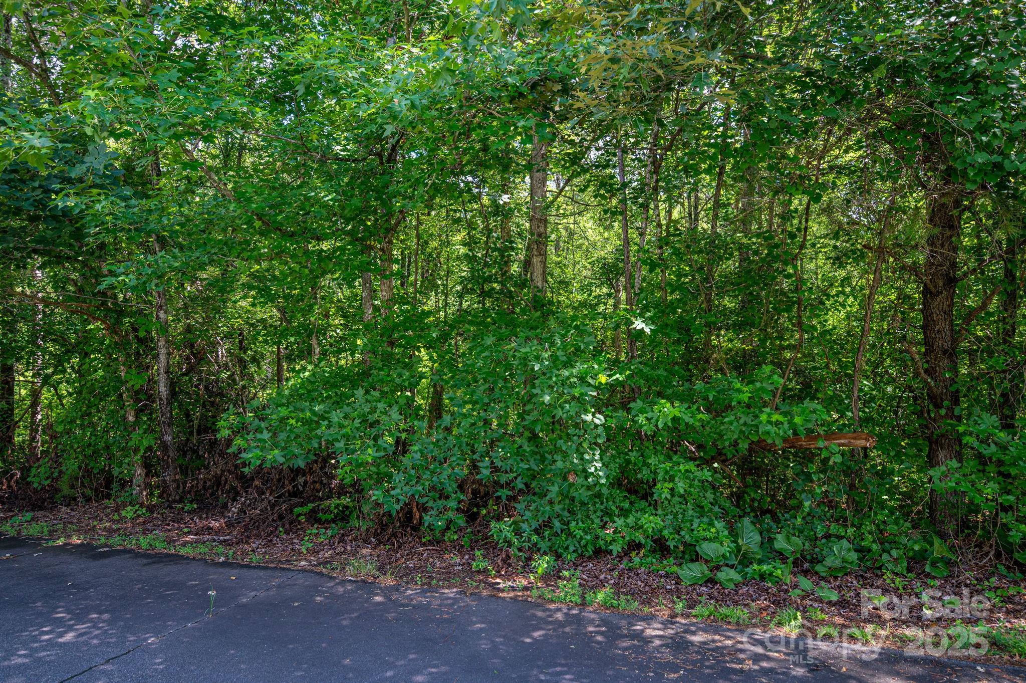 Lot 33 Line Drive