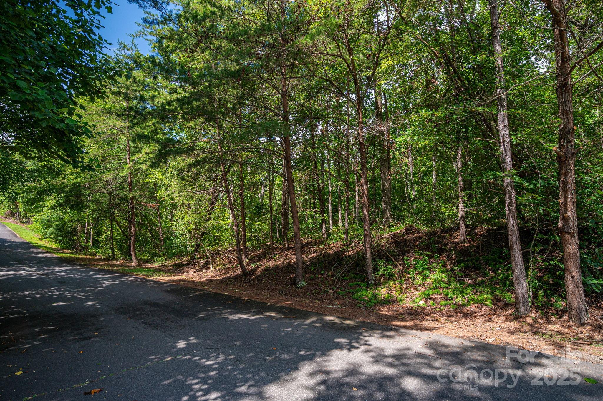 Lot 26 Line Drive