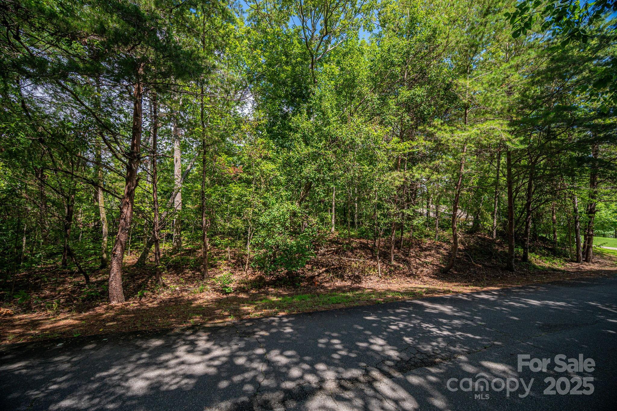 Lot 26 Line Drive