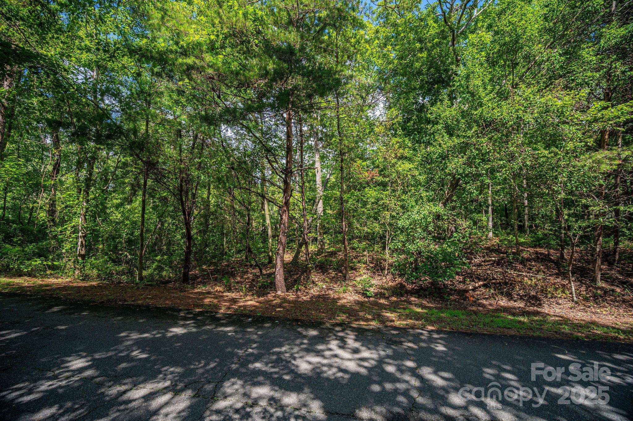 Lot 26 Line Drive