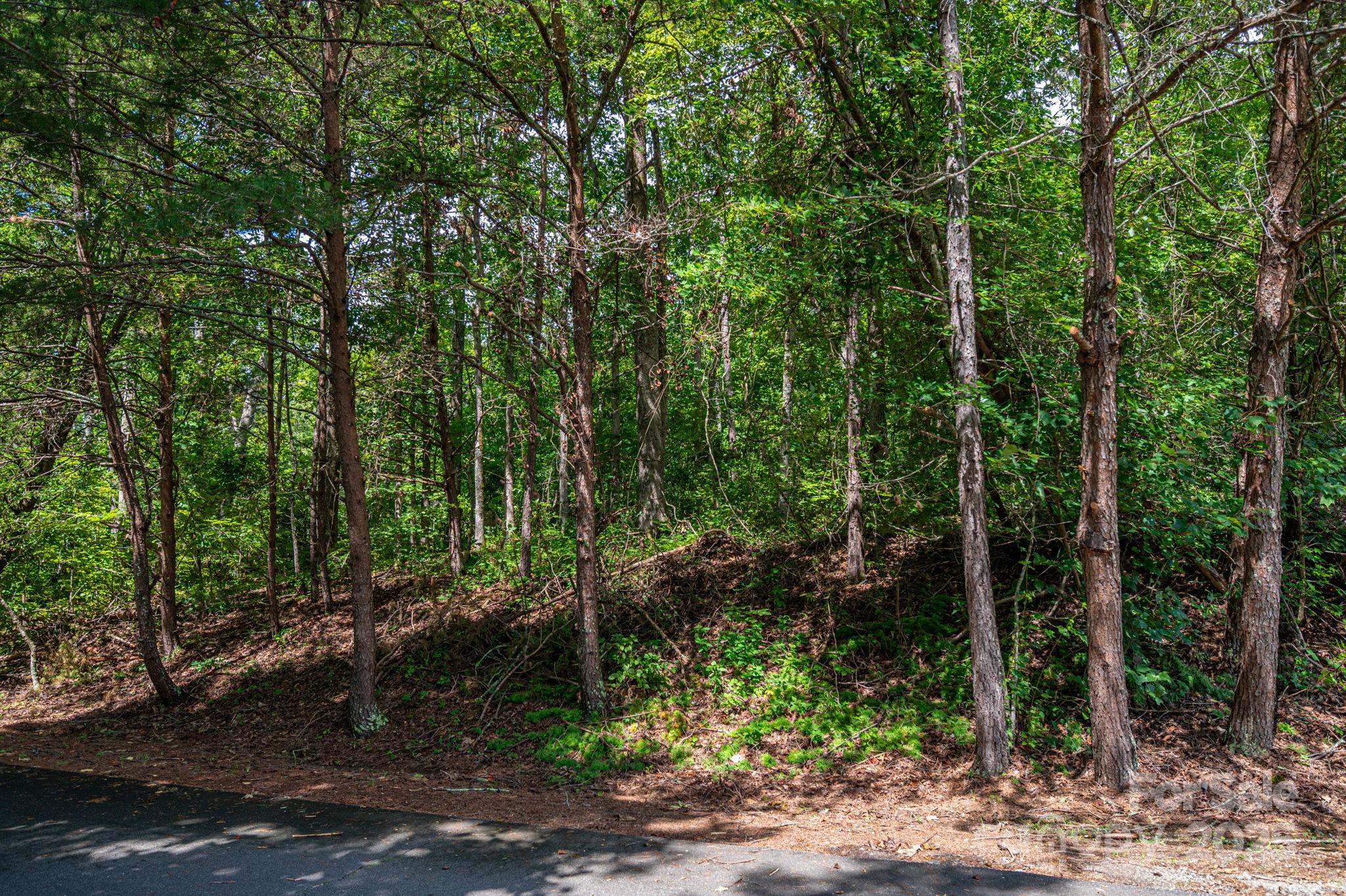 Lot 26 Line Drive