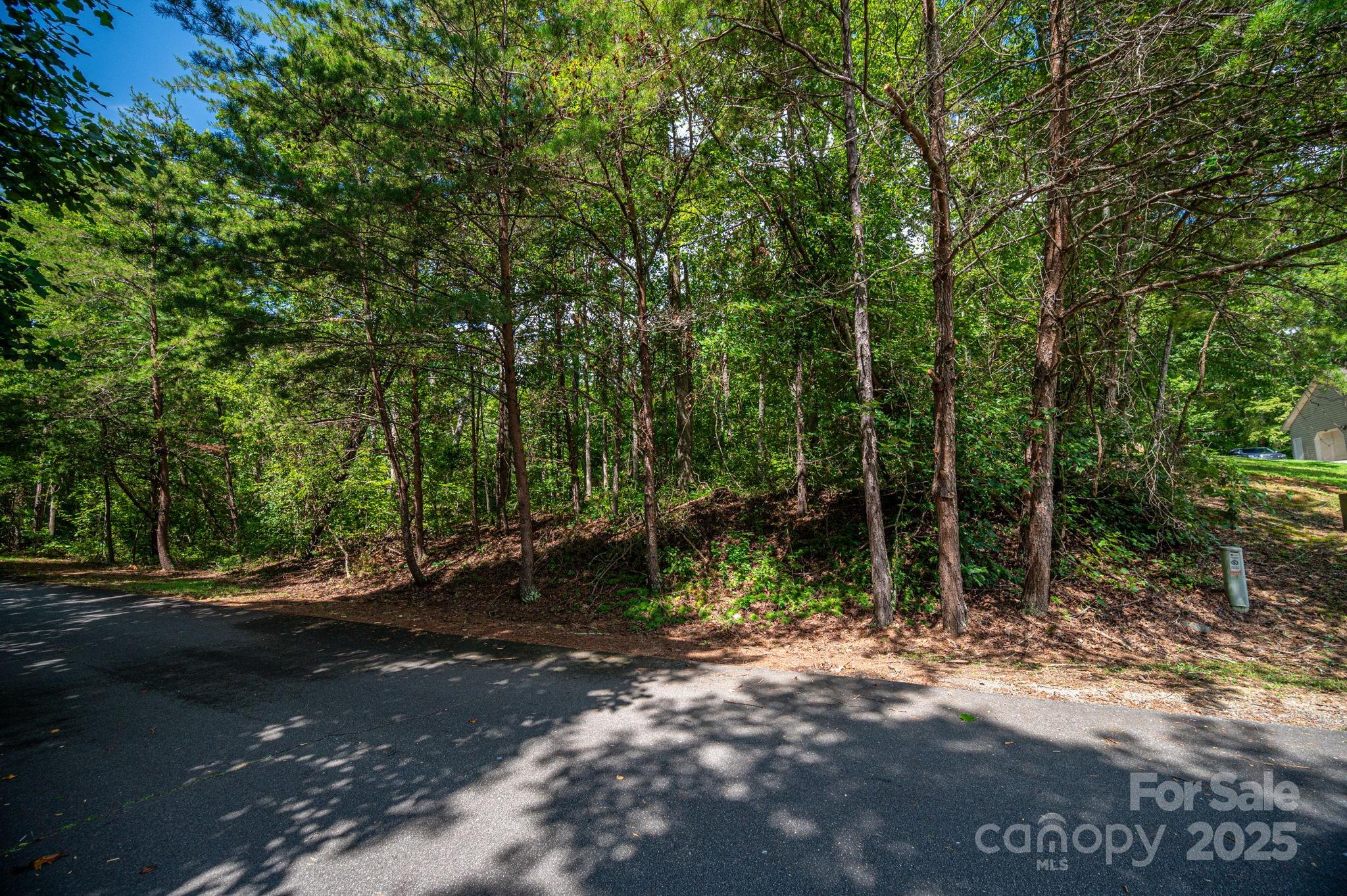 Lot 26 Line Drive