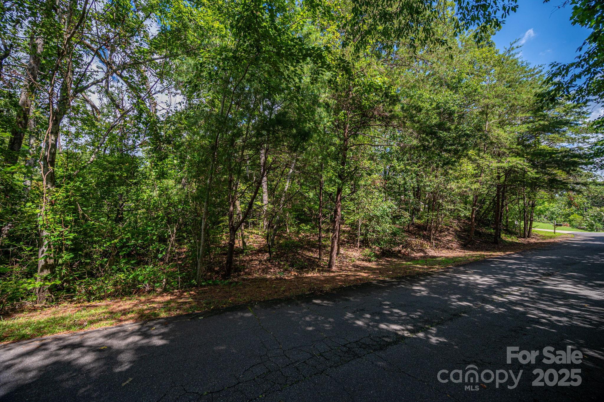 Lot 26 Line Drive