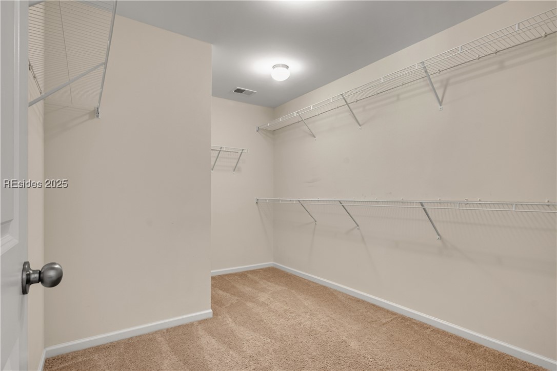 241 Turkey Oak Drive