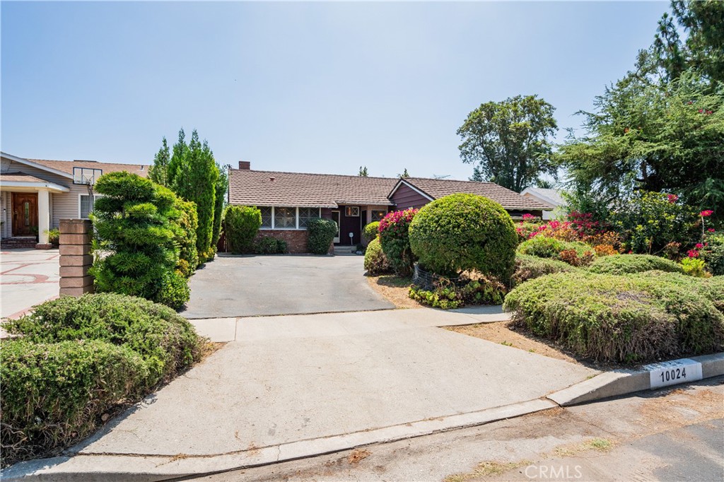 10024 Norwich Avenue