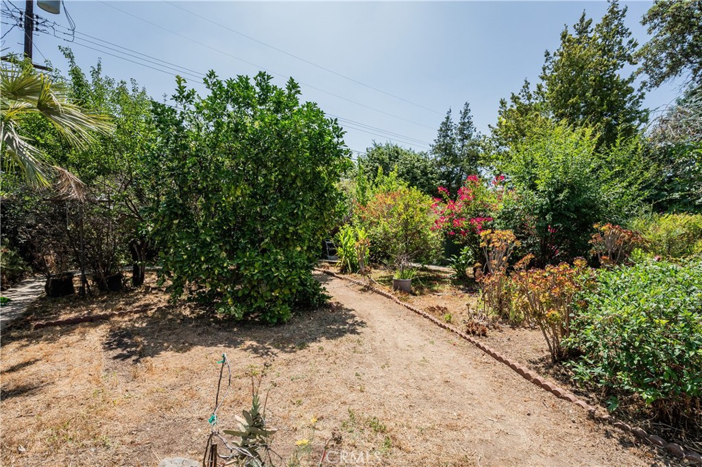 10024 Norwich Avenue