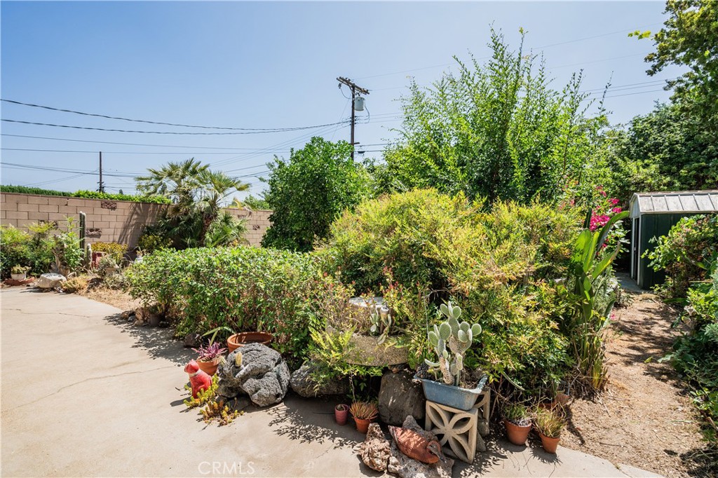 10024 Norwich Avenue