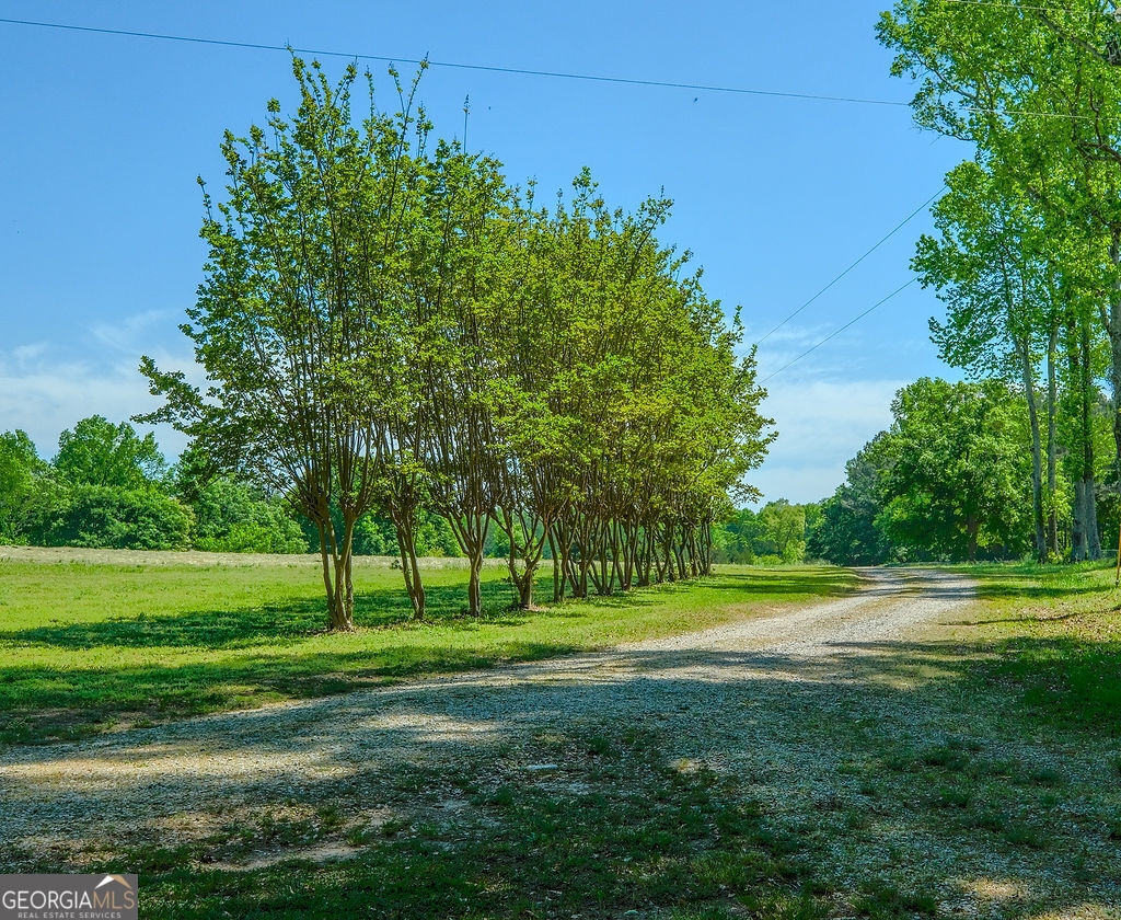 838 Buford Carey Road