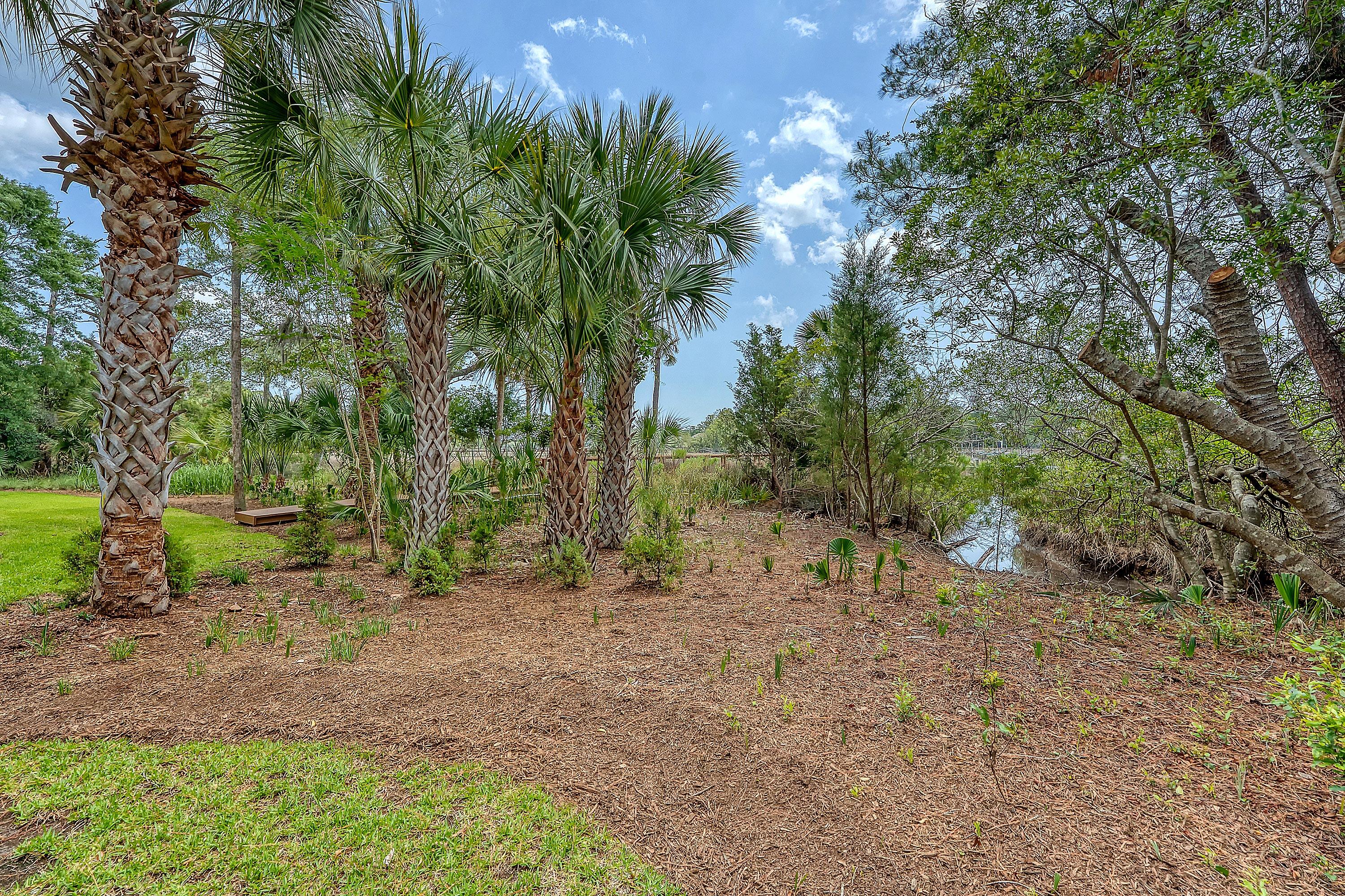 3331 Cottonfield Drive