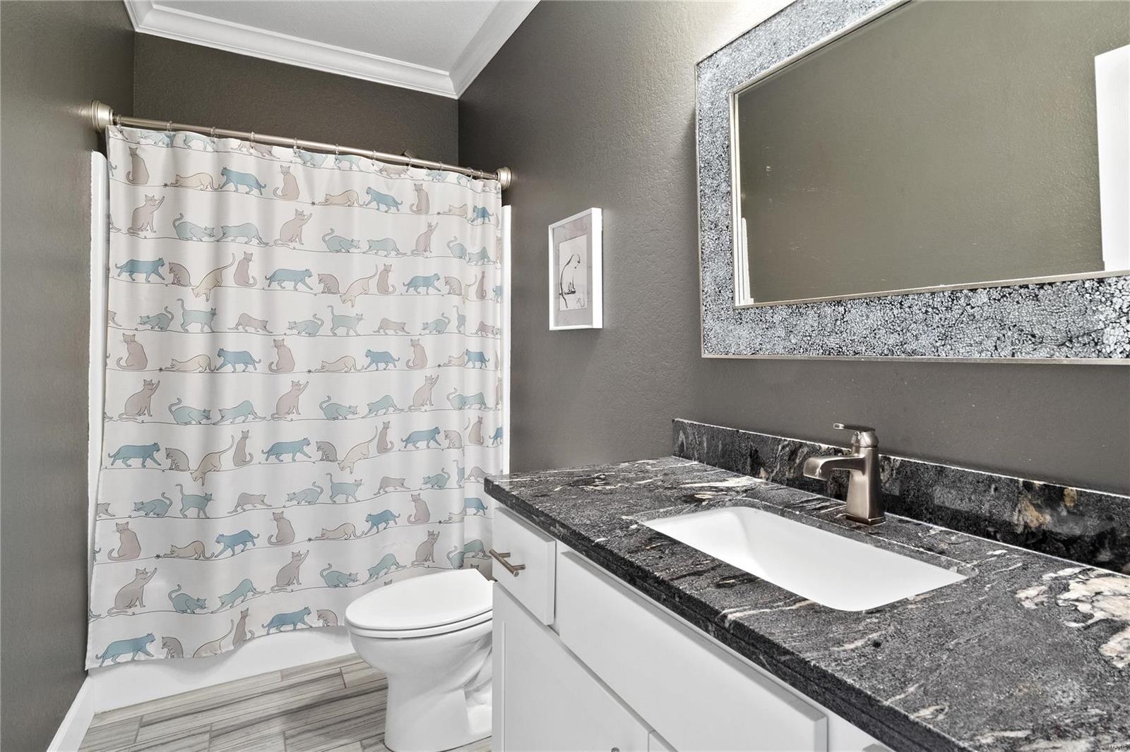 1509 Shadow Ridge Lane